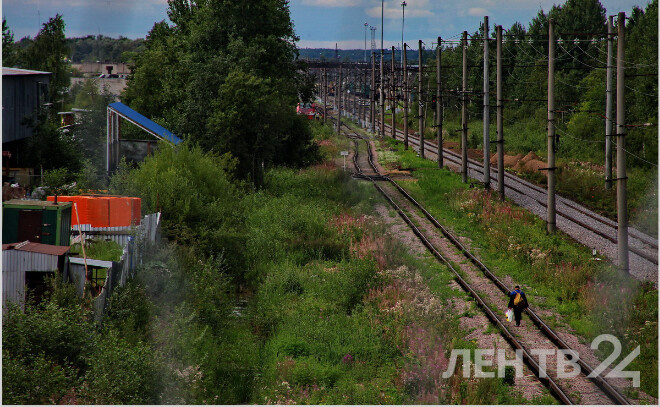    © Анастасия Илюшина / ЛенТВ24