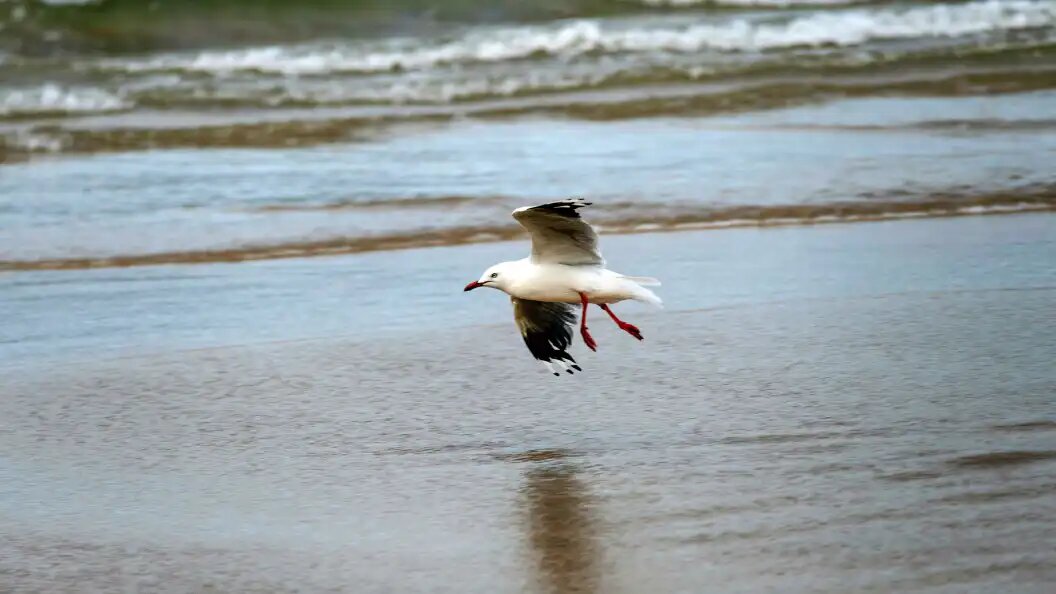    Фото: Tara Malhotra/Globallookpress