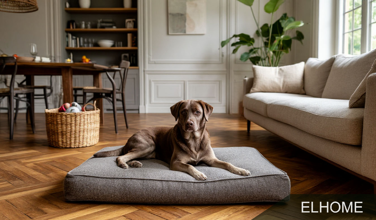 Прочные материалы и продуманные зонирование — ключ к идеальному сосуществованию дизайнерского интерьера и большой активной собаки.