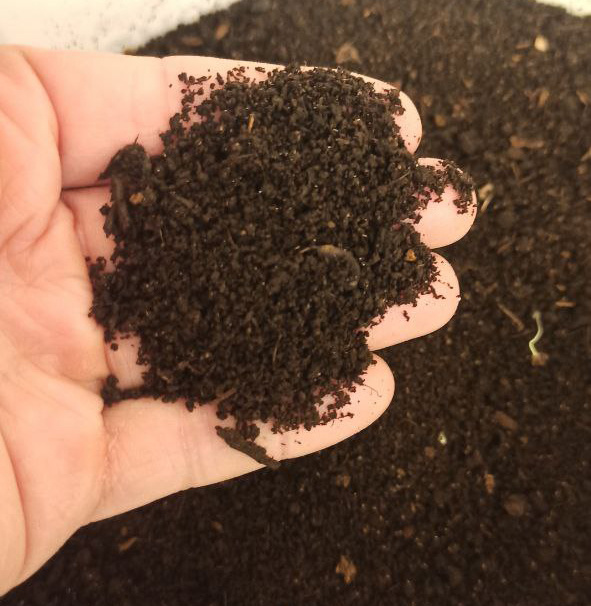 Биогумус. Фото t.me/organicrecycle