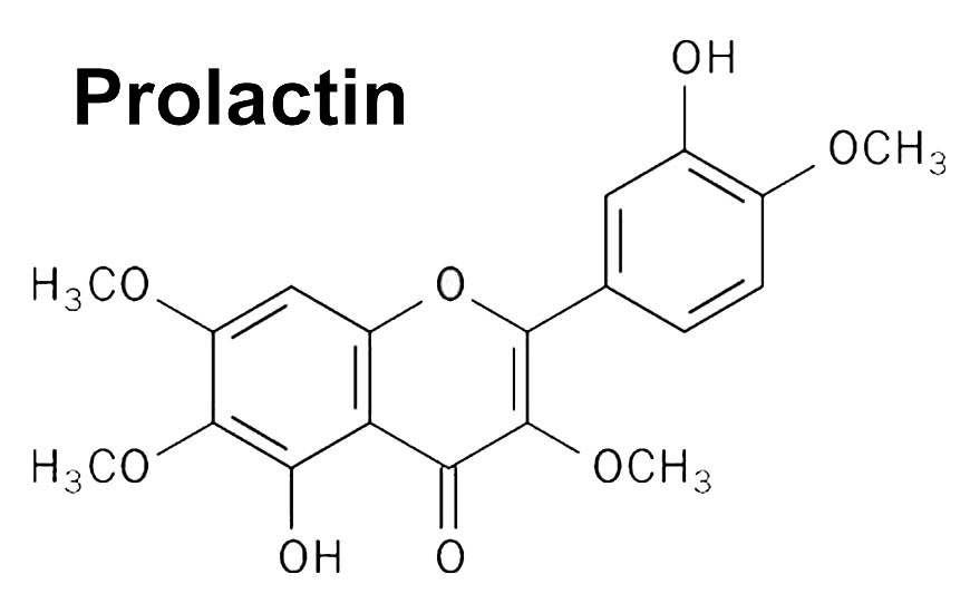 Гормон пролактин.