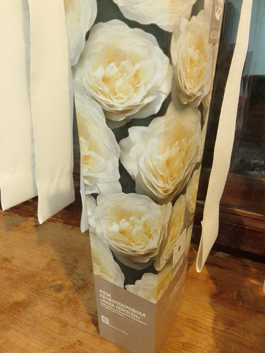 Вот в такой коробке она была.