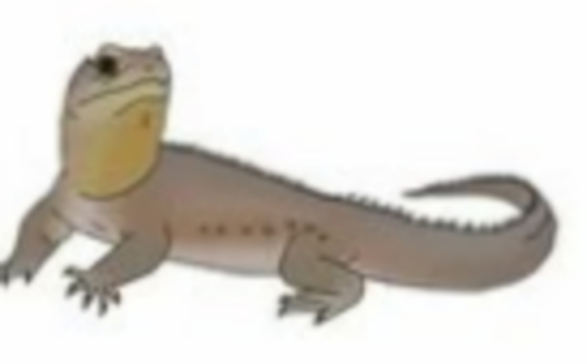 Уитакерзавр, а возможно и клевозавр.