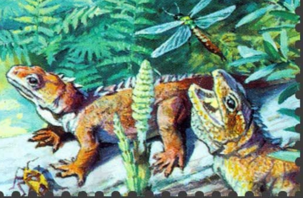 Пелецималы (на самом деле нет).