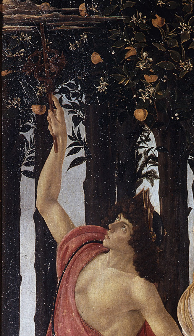 Сандро Боттичелли. Весна (La Primavera). 1482. Дерево, темпера. 203 × 314 см. Фрагмент Галерея Уффици, Флоренция. Общественное достояние.