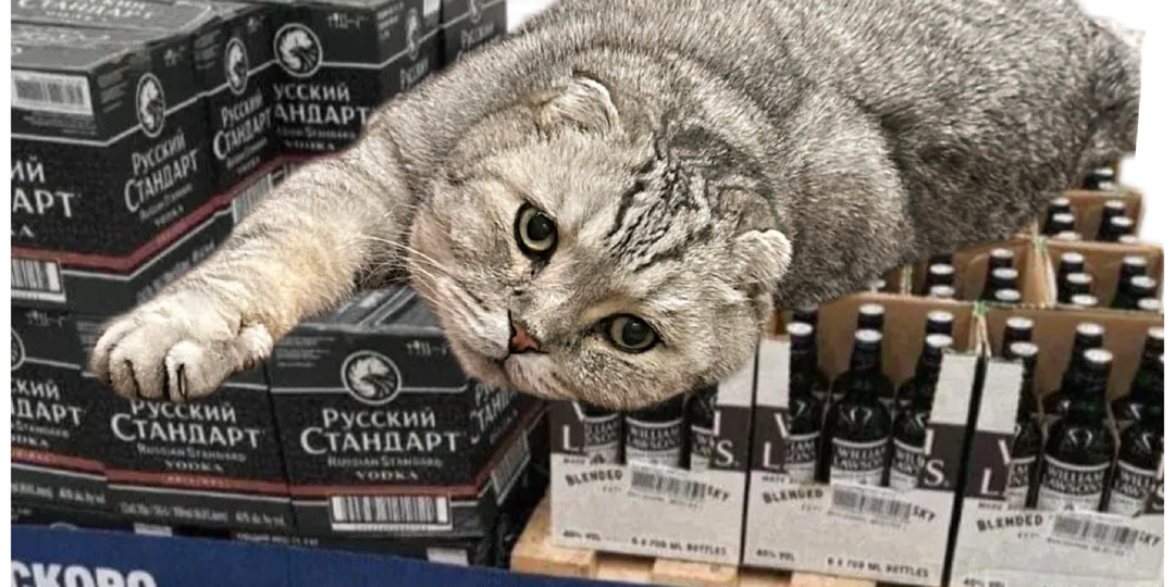 Гении маркетинга😻