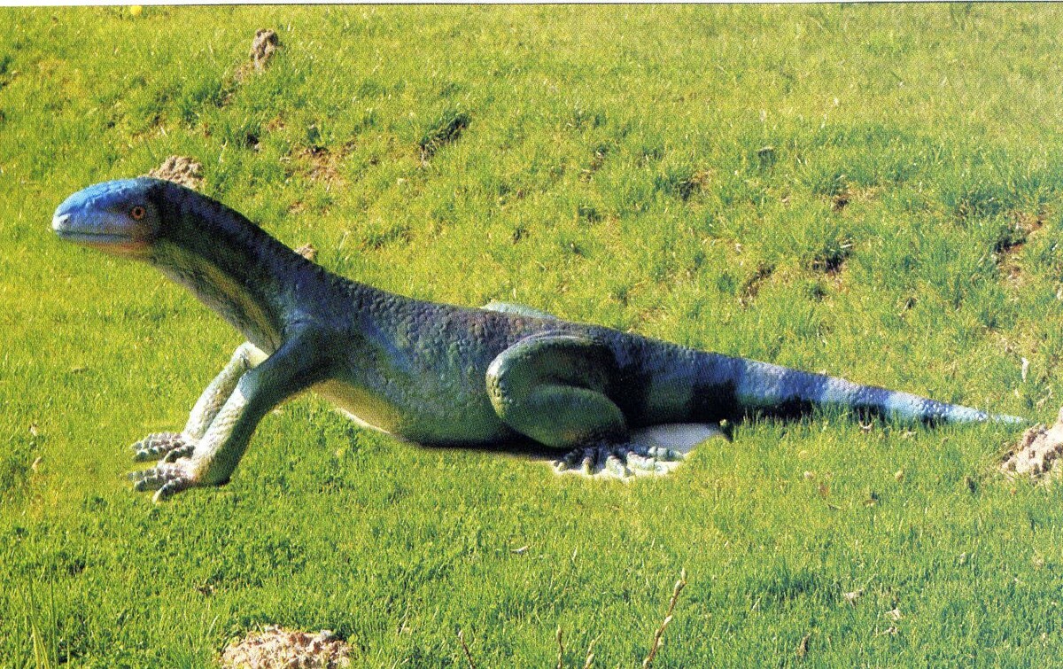 Архозавроморф.