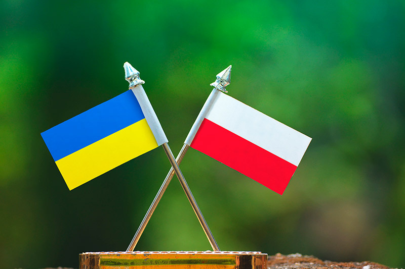    Shutterstock/FOTODOM