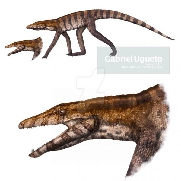 Террестризух, арт от Габриэля Угуэто.