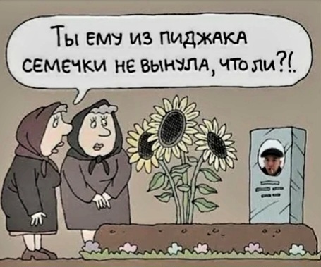 Картинка с интернета 