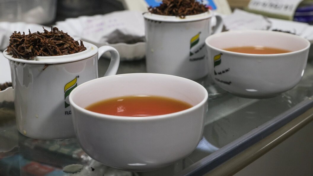    Bulkin Sergey/news.ru/Globallookpress