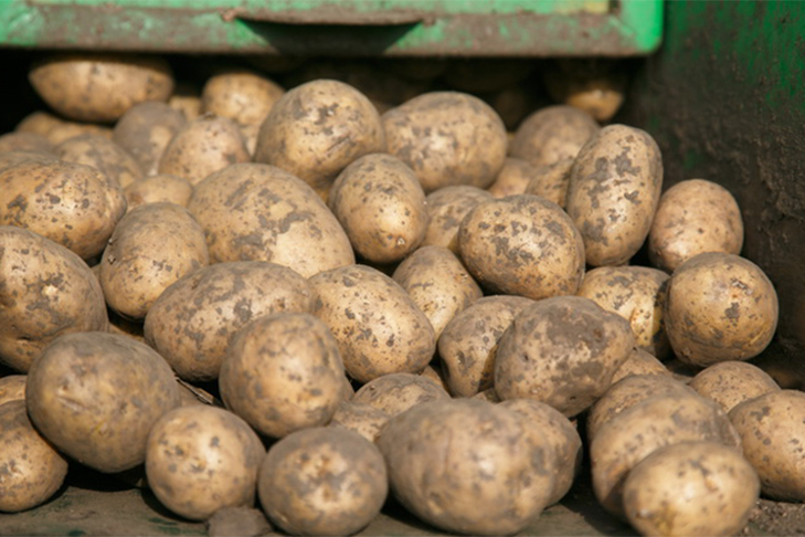    Фото Аркадия Уварова