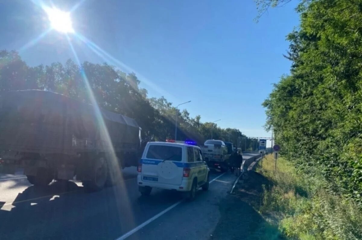    Госохотнадзор Камчатки ищет свидетелей ДТП с участием медведей