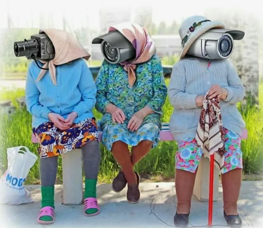 фото из открытого доступа