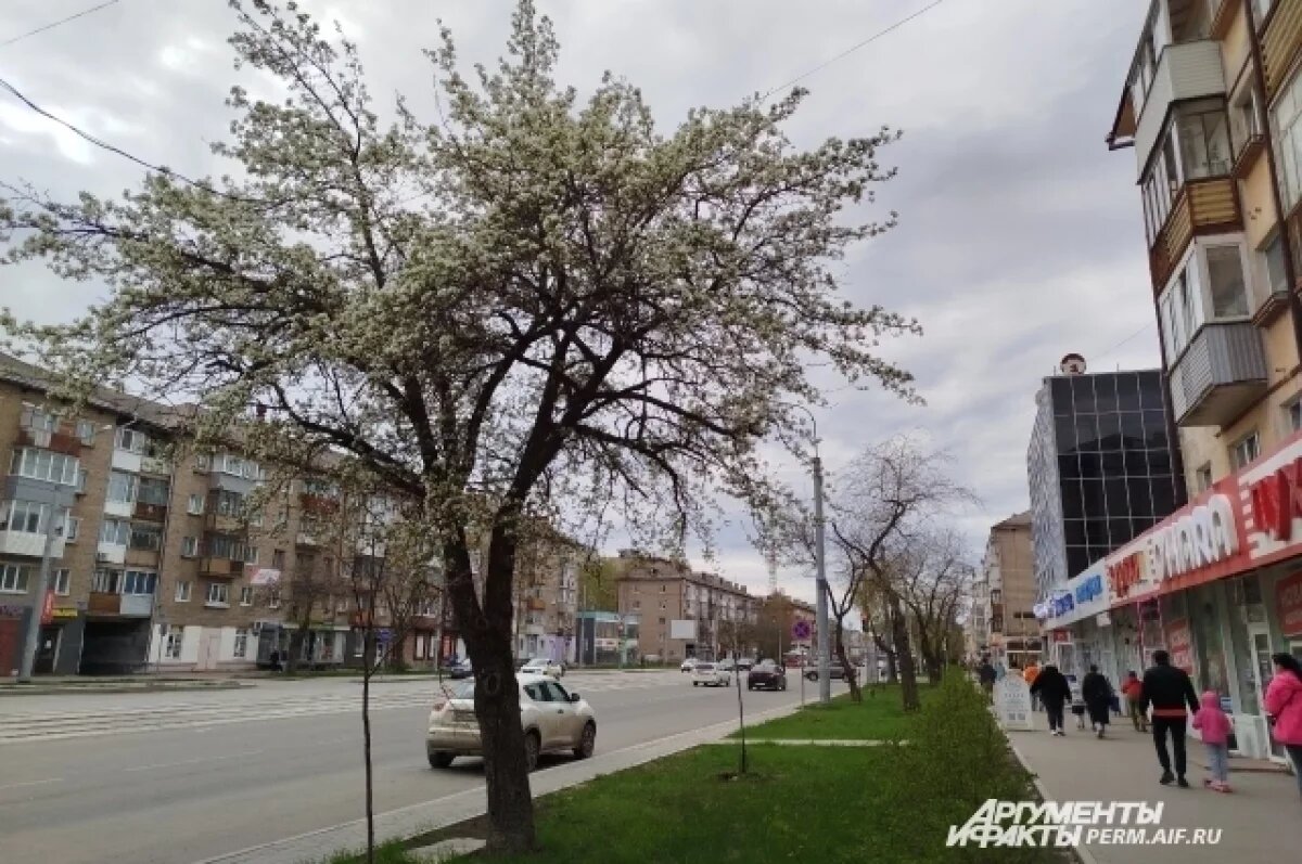    27 августа в Пермском крае закончится метеорологическое лето