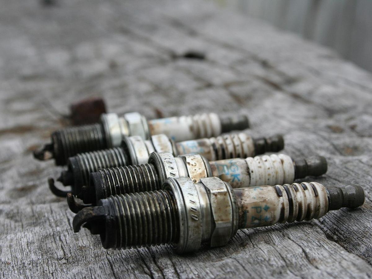 Фото взято с открытых источников. 