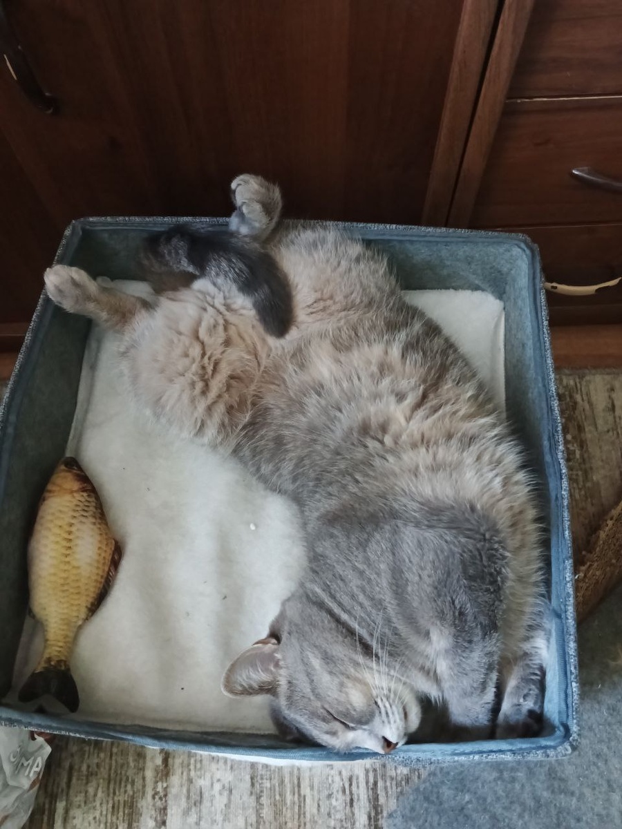 Вот так бы время и проводила