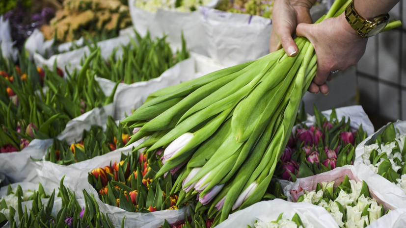   РИА Новости