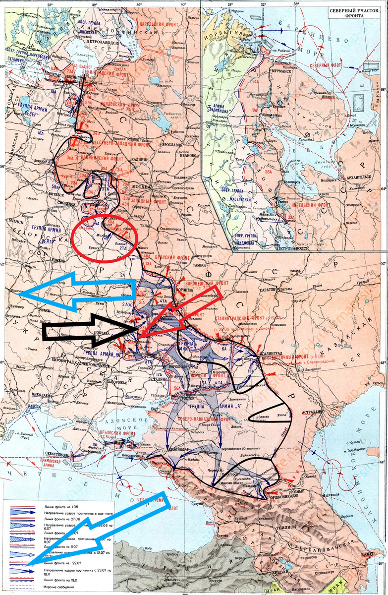 (Фото взято из открытых источников).