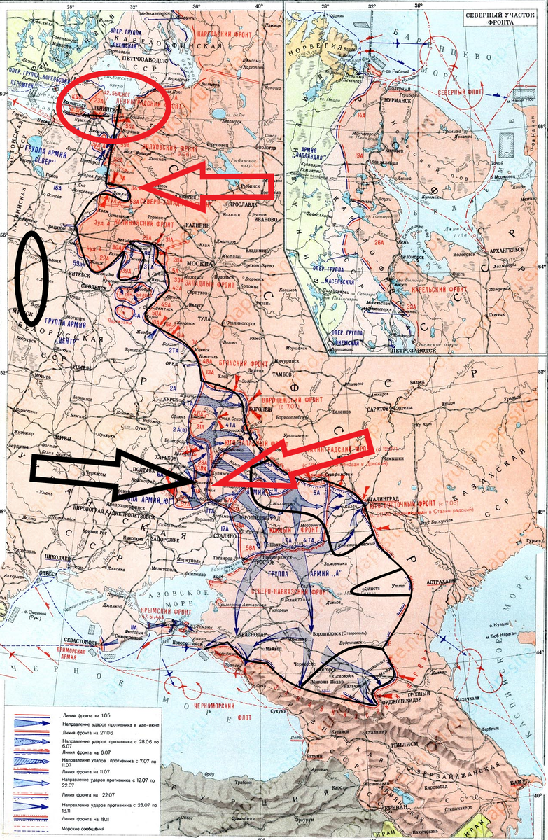 (Фото взято из открытых источников).