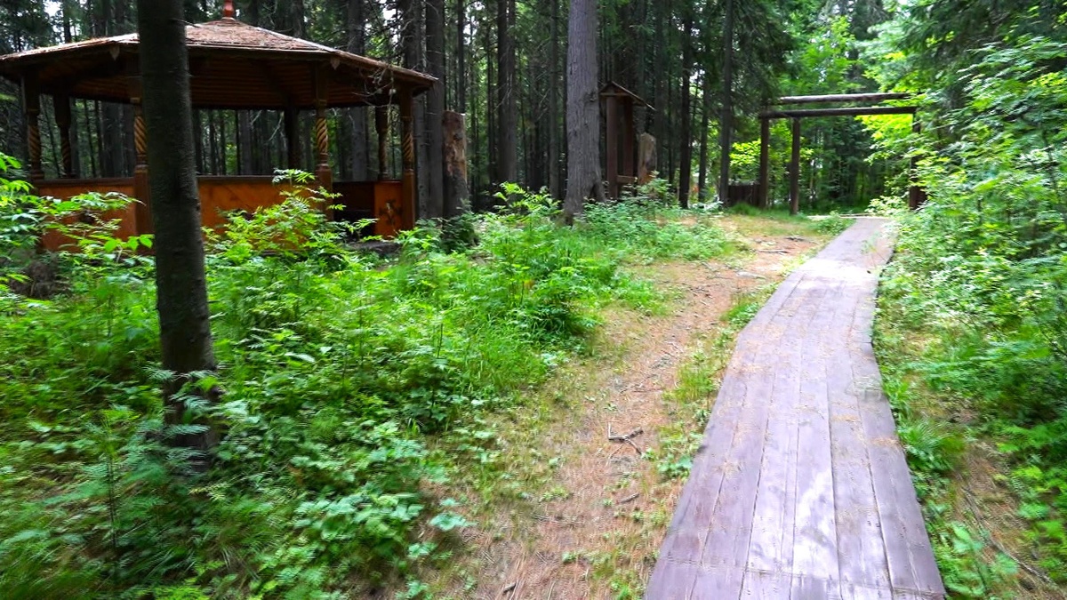    В «Самаровском чугасе» обновляют самую длинную экологическую тропу