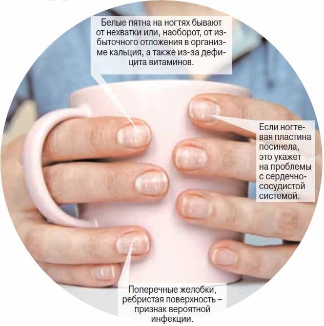    Нажмите для увеличения