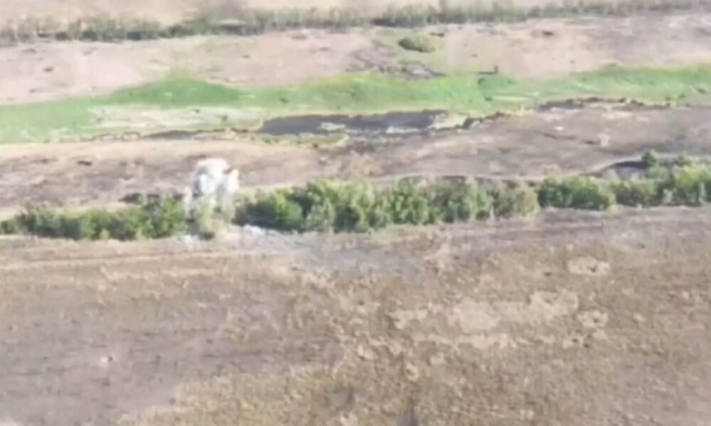    Результат стрельбы танкового экипажа. Фото: Министерство обороны РФ