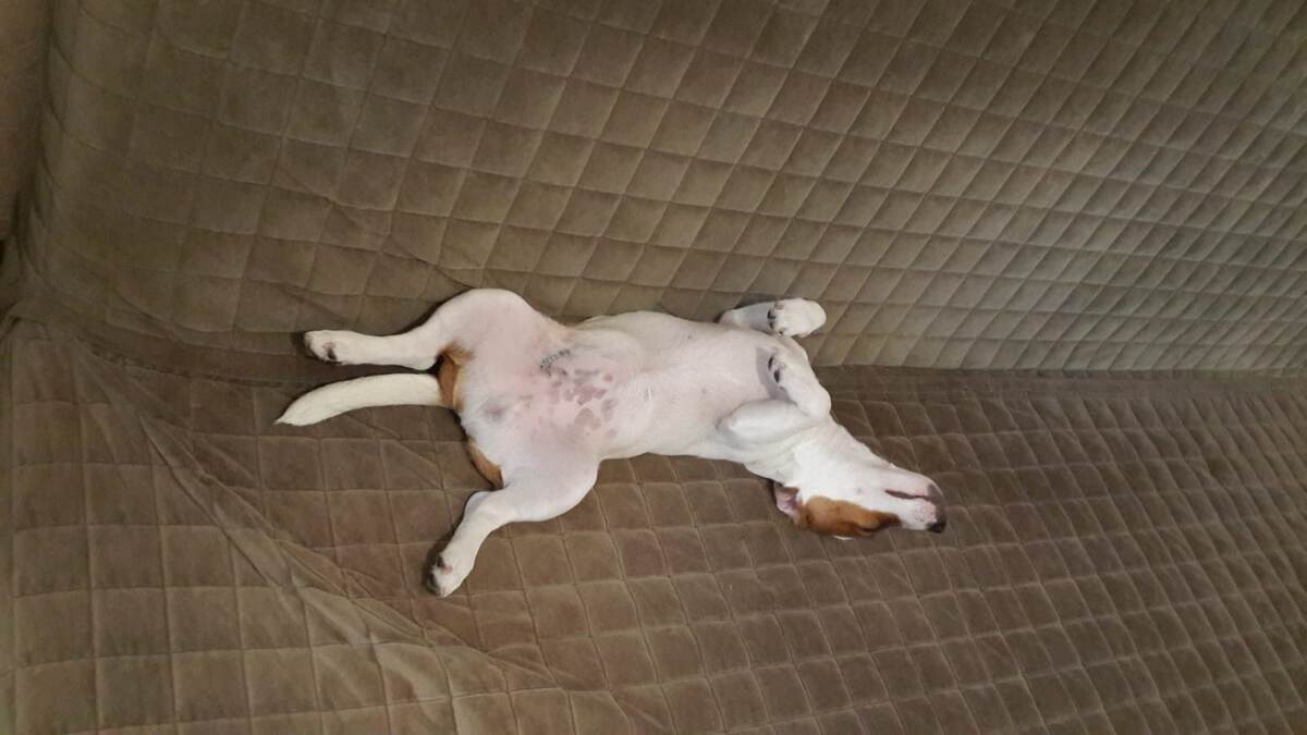 немного повзрослев, любовь спать в такой позе все еще не прошла🤗