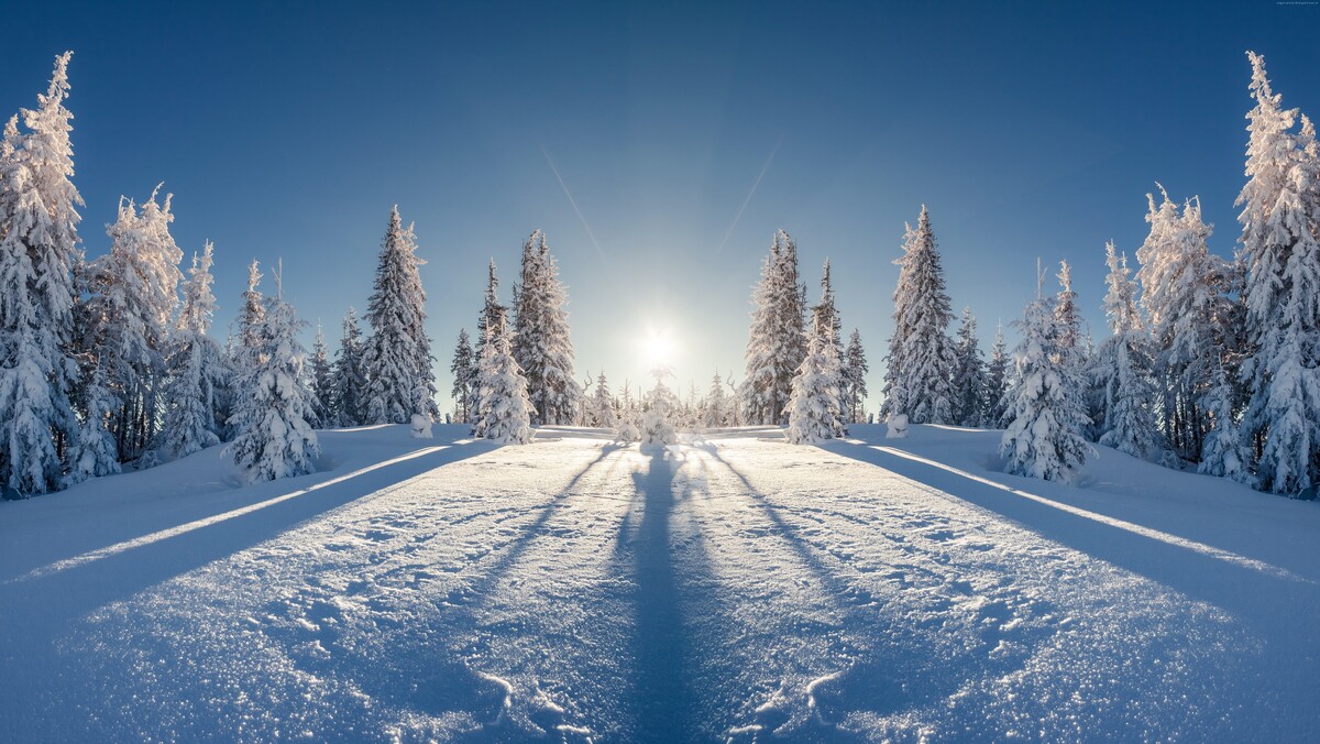 Картинка найдена на просторах интернета, ссылка https://yandex.ru/images/search?from=tabbar&img_url=https%3A%2Fi%2F.pinimg.com%2Foriginals%2Fa8%2F34%2Fа3f%2Fa83р43f81с289b5e7bd53274cf0591a19.jpg&lr=47&pos=15&rpt=simage&text=%D1%86%D0%B2%D0%B5%D1%82%D1%8B%20%D0%BA%D1%80%D1%83%D0%BF%D0%BD%D0%BE%20%D1%84%D0%BE%D1%82%D0%BE