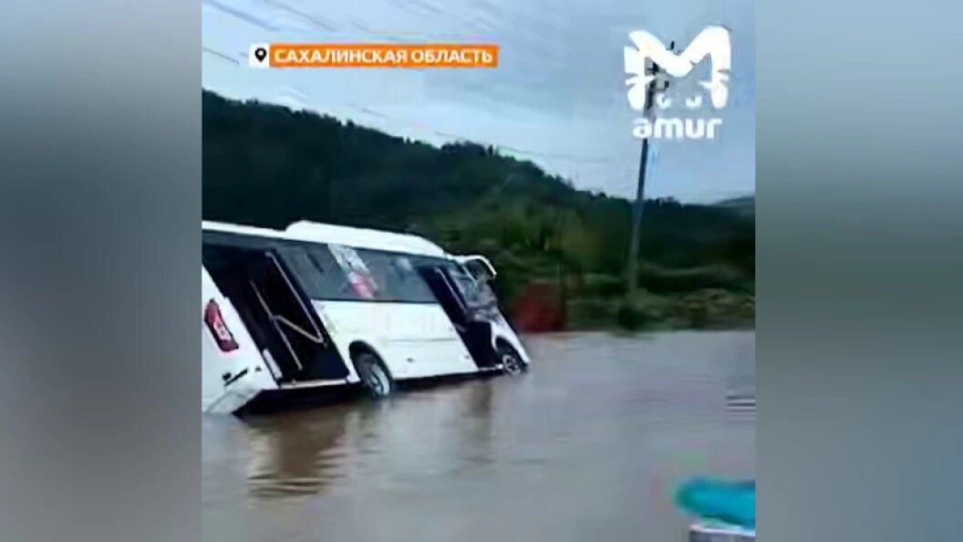    ФОТО: кадр видео телеграм-канала AmurMash