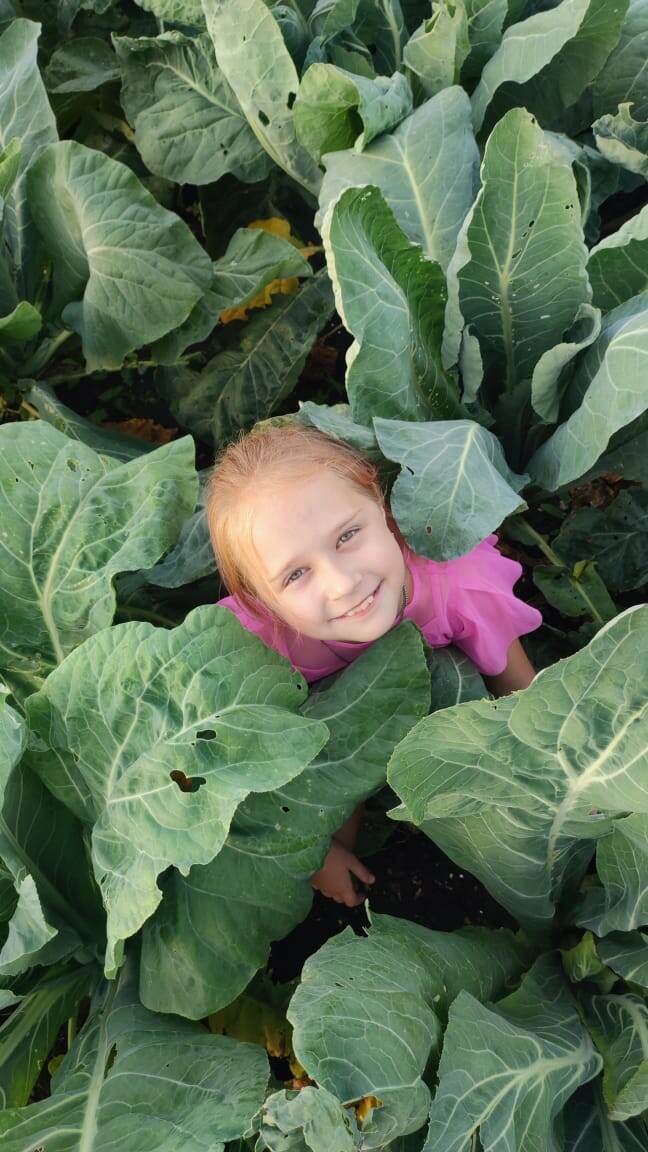 Гусеничка моя