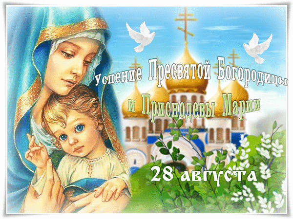 -24