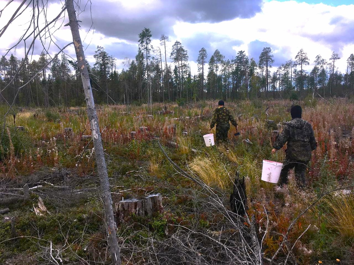    Фото: из личного архива сборщиков