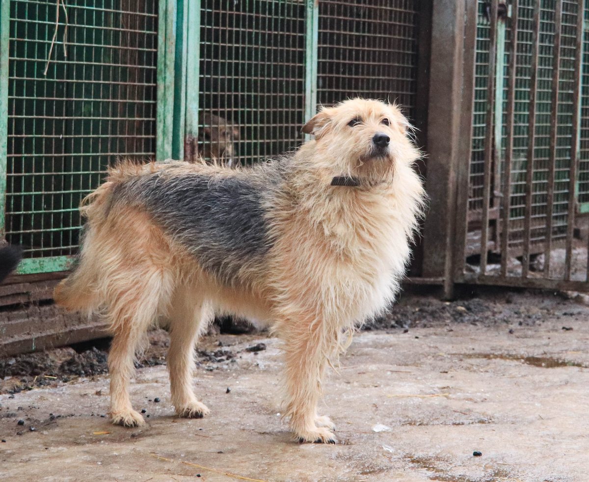 И чего вы опять смеетесь?