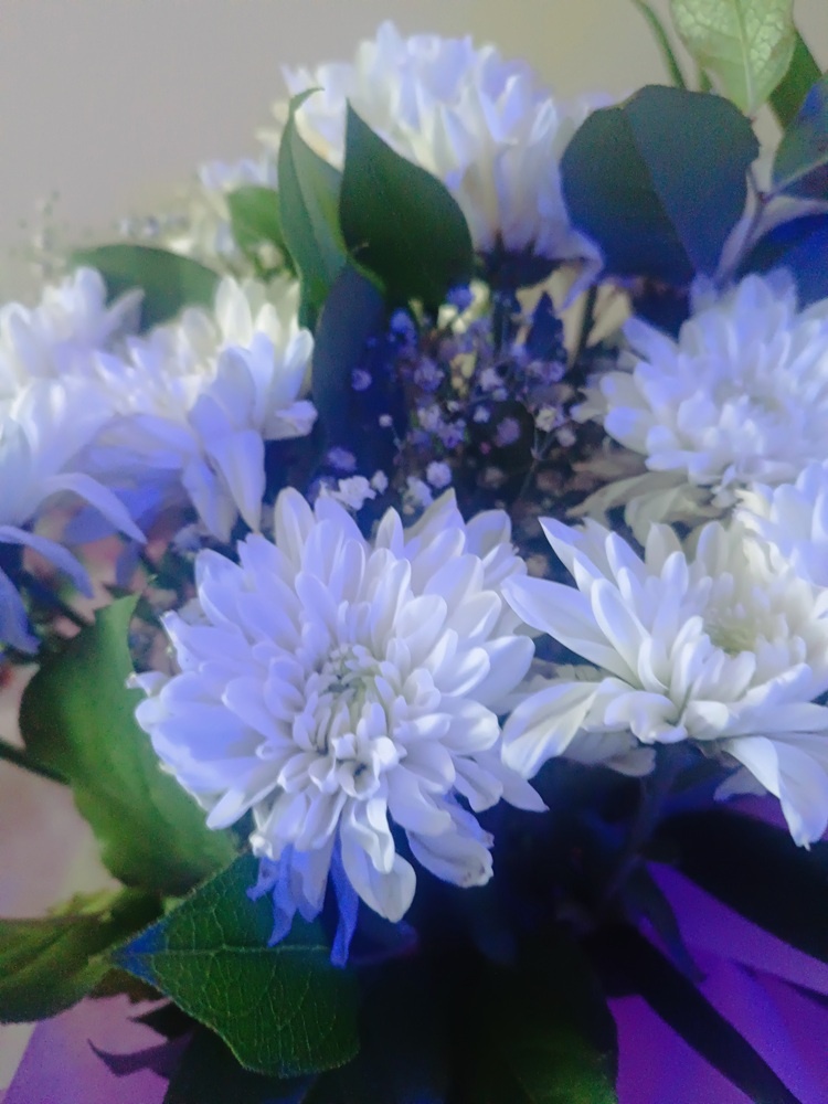 Цветов надарили!