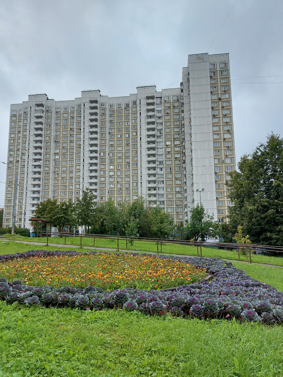 Такая клумба с декоративной капустой и осенними цветами