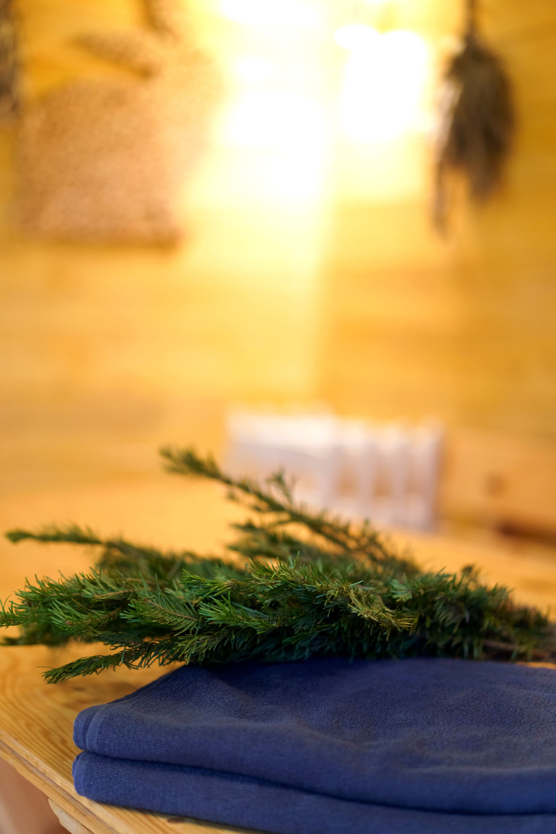 Снять домик с баней возле Москвы