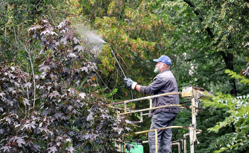    Фото: администрация Самары