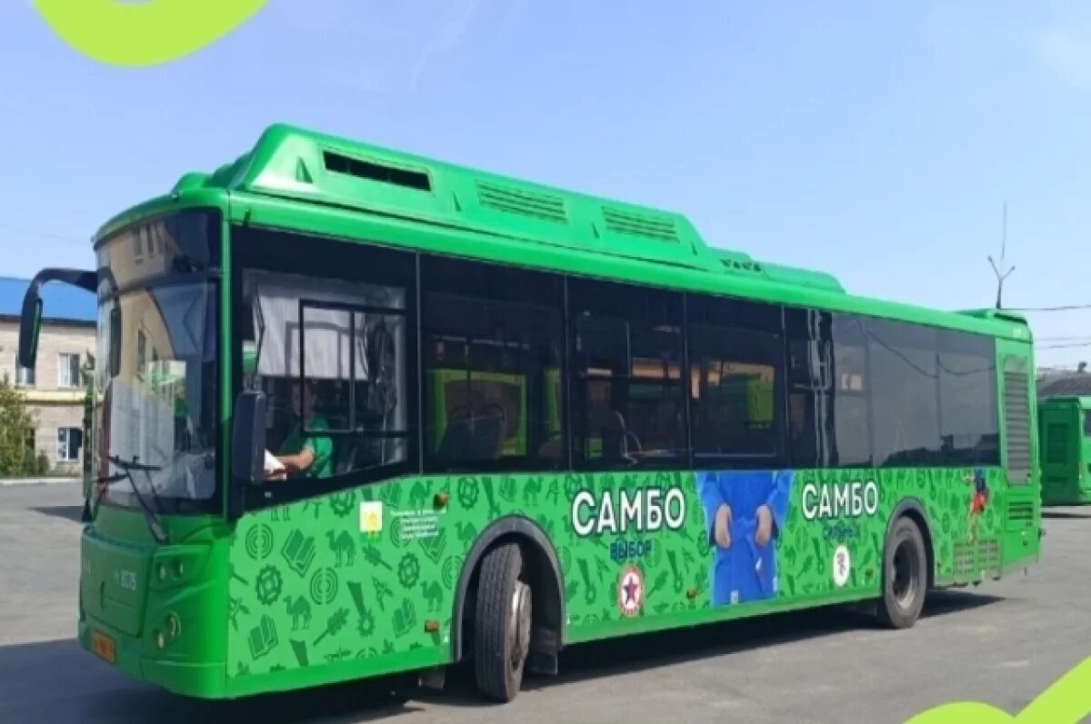   В Челябинске появились автобусы в стиле самбо