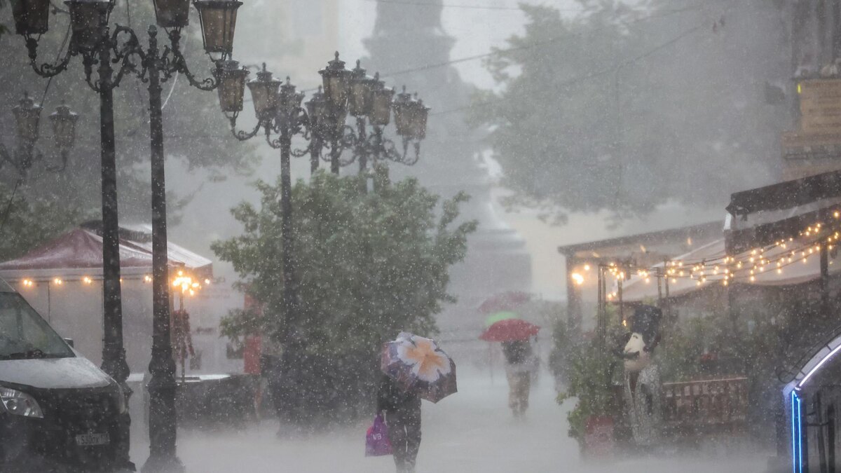    Фото: Belkin Alexey/globallookpress.com