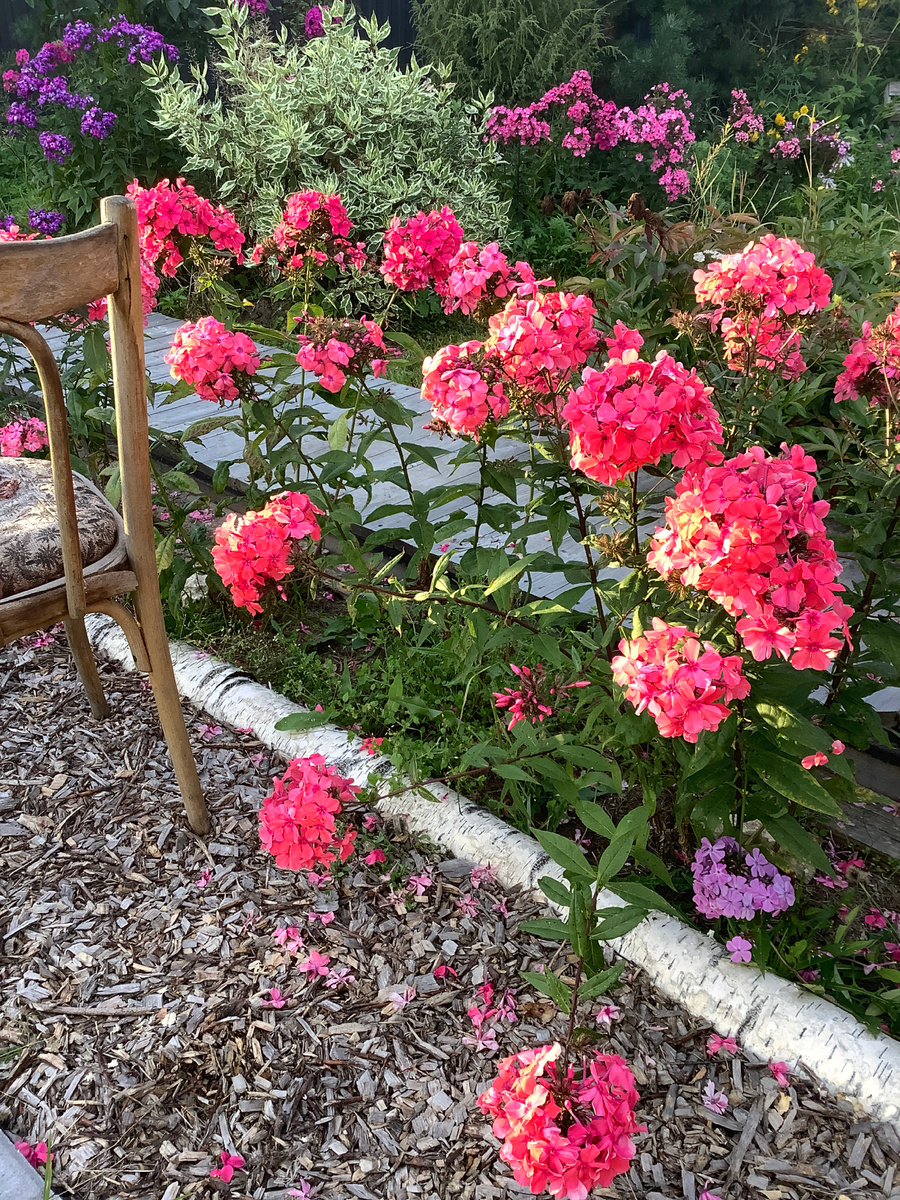 Коралл в массиве