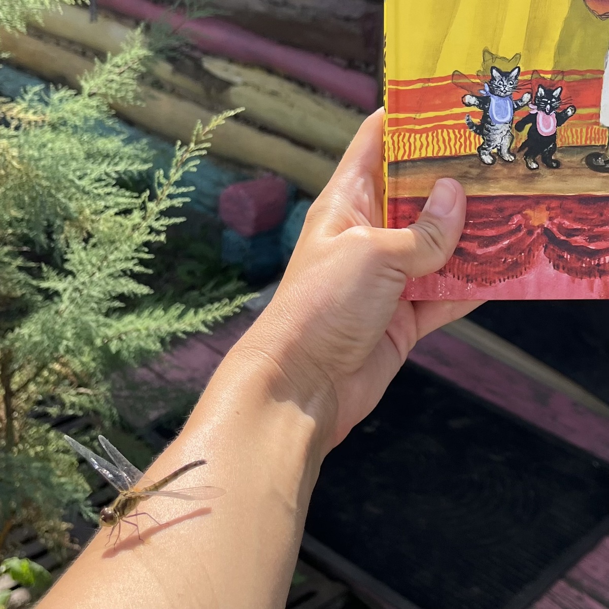 Вот так символично, стрекоза села на руку при съемке книжек. 