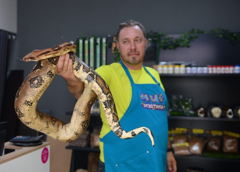    Экзотика вне закона: у оренбуржцев будут конфисковывать запрещённых животных Антон Пичурин