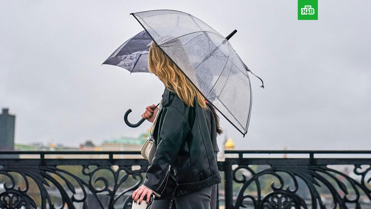    Фото: Евгений Самарин / mos.ru