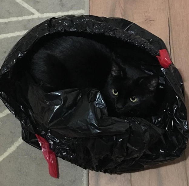 Не помню, откуда