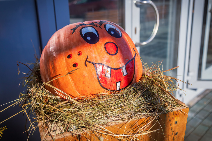    Фото Андрея Заржецкого