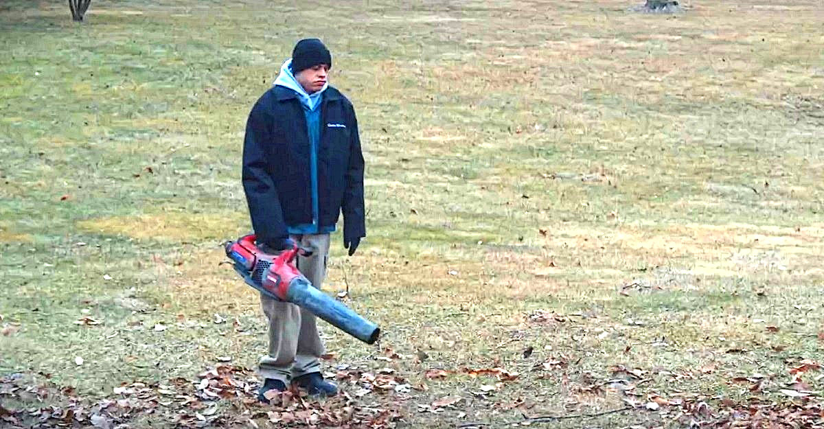 А для тех "листьев жёлтых", которые над городом не накружились, давно изобретён специальный гаджет.