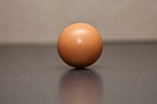 Яйцо круглой формы. Фото: Bulls Press