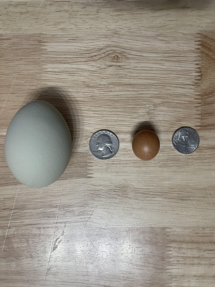 Фото с сайта www.reddit.com