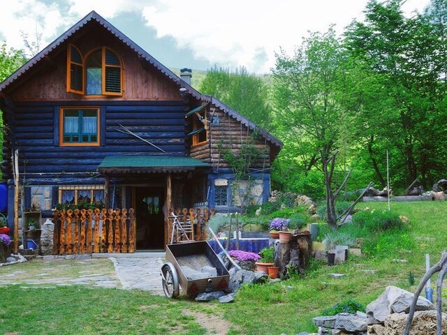    Фото: depositphotos/.shock